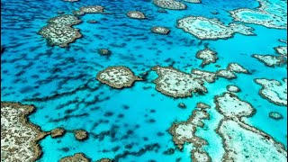 Flying above the Great Barrier Reef 🪸🚁 #shorts