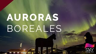 Auroras boreales desde Groenlandia 2016 - En directo (conexión 2)