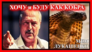 ЛУКАШЕНКО МЕМ😂 | как кобра с путиным | Lukashenko meme 🔥 №29