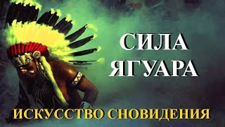 Искусство сновидения. Сила ягуара. Обучающий фильм.