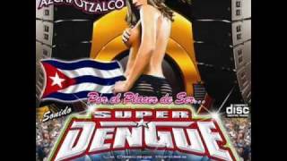 SONIDO SUPER DENGUE-LA NEGRA CAMPANERA.wmv