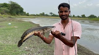 Lures Factory Bhupathy Rubber Frog | Snakehead Fishing Tamil | Frog Review Video