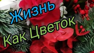 Жизнь - Как Цветок