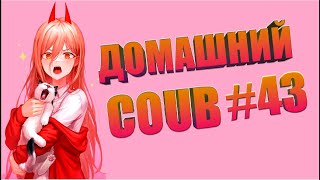 Домашний COUB #43