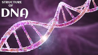 DNA 🧬 structure of DNA #dna #science #3d #animation