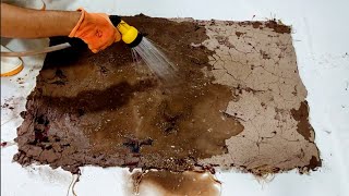 Unbelievable ASMR! Watch Rain Transform a Drought-Stricken mud Carpet | Satisfying Cleaning Magic!