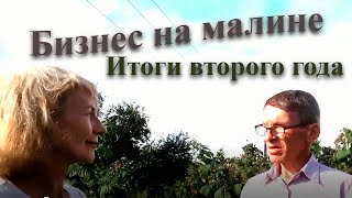 Бизнес на малине: подводим итоги 2- года/Опыт новичка