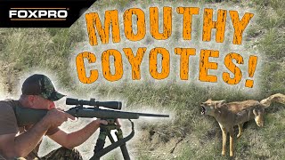 Calling Fowl Mouth Coyotes