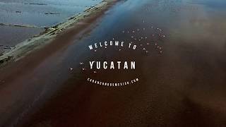 Yucatan, Mexico OUR Paradise!