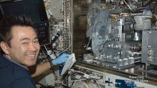 Teeming Life on the ISS