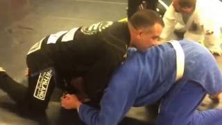 Turtle attack choke 2016