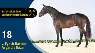 No. 18 Stallion by Fynch Hatton - Asgard's Ibiza | Verden Stallion Licensing 2024 - Nov. 22/23