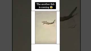 A Fish saved the life of another fish ❤️😍#shorts#status#viral#ytshorts