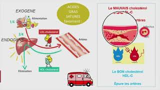 Fromages au lait cru, nutrition et santé