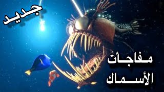 اغرب المشاهد للمخلوقات البحريه تم تصويرها 😳🤔