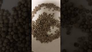 How to grind Black and white Pepper to enhance the taste | Good and Easy Tips 🙂