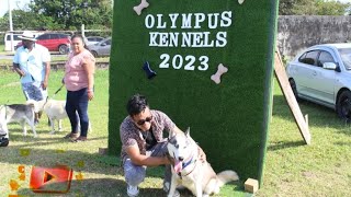 Olympus Kennel Dog Expo 2023 - Huskies