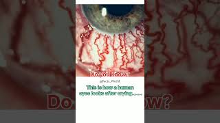 Do you know about this........#human #eyes #shortvideo