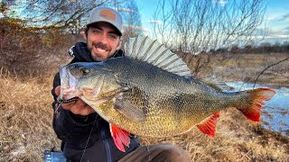 FISHING BIG PERCH !!! pesca al grosso persico reale