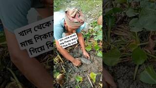 মাছ শিকার করার দেশ্যৃ maral machili,#fishing​#fishingvideo