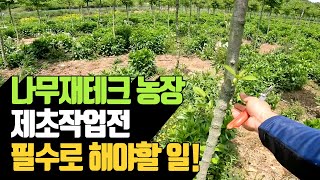 나무재테크 농장 제초작업전 필수로 해야할 일 | 나무대장🌳 나무농사의 모든것