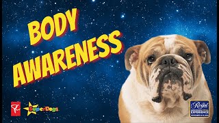 Dog Body Awareness