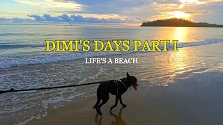 Dimi's Days Part I - Life's a Beach