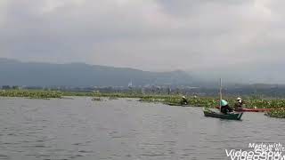 Asiknya mancing nila di rawa pening (semurup)