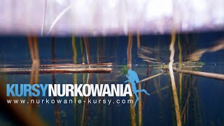 j.Borówno [ 1080p60HD ] Nurkowanie Kursy Bydgoszcz