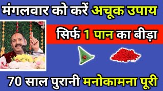 मंगलवार को करें अचूक उपाय, सिर्फ 1 पान का बीड़ा, 70 साल पुरानी मनोकामना पूरी #pradeepmishra