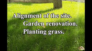 Garden renovation