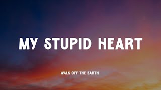 My Stupid Heart  - Walk off the Earth (Music Video Lyrics)