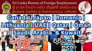 2023 Europe ඇතුළු රටවල් ගණනාවක් සඳහා විදේශ රැකියා