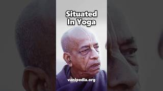 Situated In Yoga - Prabhupada 0634