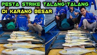 queen fish dari karang besar