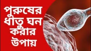 বীর্য ঘন করার উপায় কি || ওষুধ ছাড়া বীর্য গাঢ় করার উপায় #বীর্য_ঘন_করার_সহজ_উপায়