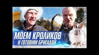 Дядя Юра и Бригада Моют Кроликов   Новые Крутые Клетки Готовы   Готовим в Тандыре Хочу Пожрать