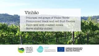 Portuguese 101: Vinhão