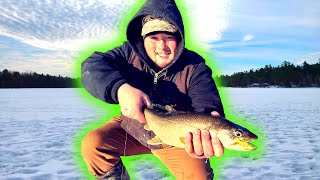 Jigging for MAINE LAKE TROUT with my new GARMIN PANOPTIX