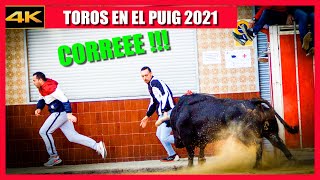 😱😱▶️ toros toros toros bravos en el puig gent del bou 2021