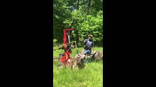 Modified Huskee 22 Ton Log Splitter.