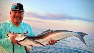 My first cobia on a buck tail jig