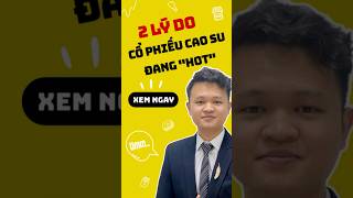 TOP 2 Lý do cổ phiếu Cao su đang "nóng"