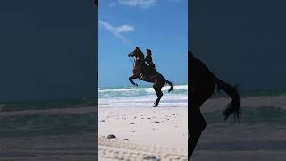 Beach horse riding Dubai #newsong #song #punjabi horses