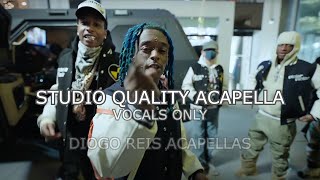 Lil Uzi Vert - Heavy (Studio Quality Vocals) - Acapella