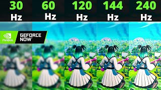 Fortnite Geforce Now 30Hz vs 60Hz vs 120Hz vs 144Hz vs 240Hz