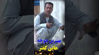 بهترین چوچه هایی کفتر بیننده باشید /Afghan Shawqi