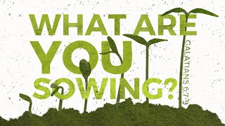 What are you Sowing?