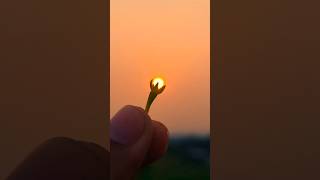 Creative photography | Sunset Photography | #photography #shorts #photographytips