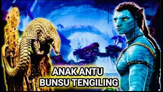 Anak Raja Bunsu Tengiling 13